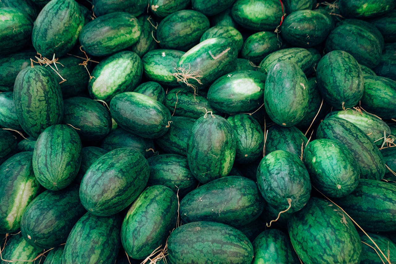 Mineral content table for Watermelon